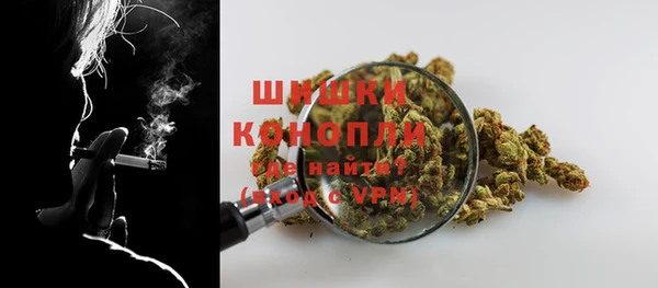 ГАЛЛЮЦИНОГЕННЫЕ ГРИБЫ Волосово