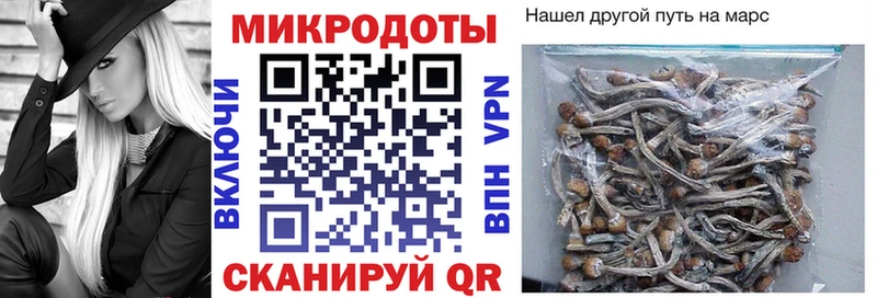 Галлюциногенные грибы Cubensis  Чита 