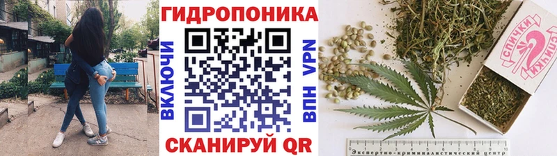 Конопля Bruce Banner  Чита 